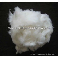 wool tops, wool noils, wool fiber